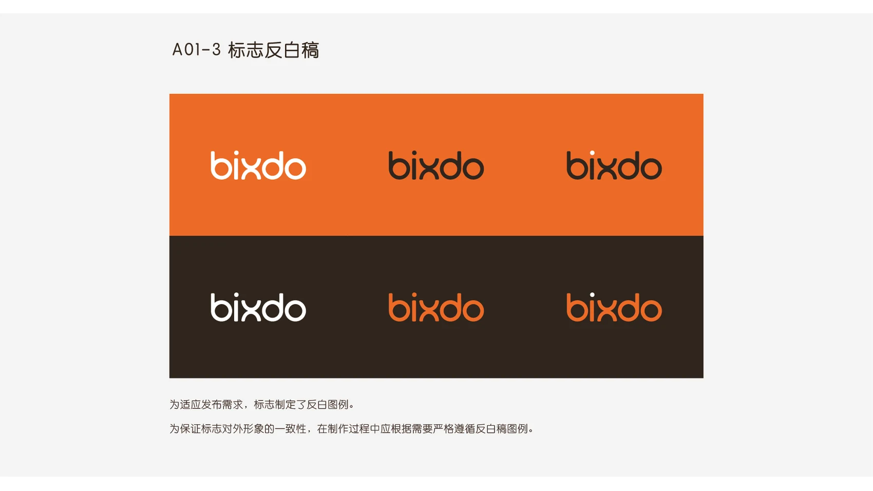Bixdo Visual Identity project image 2
