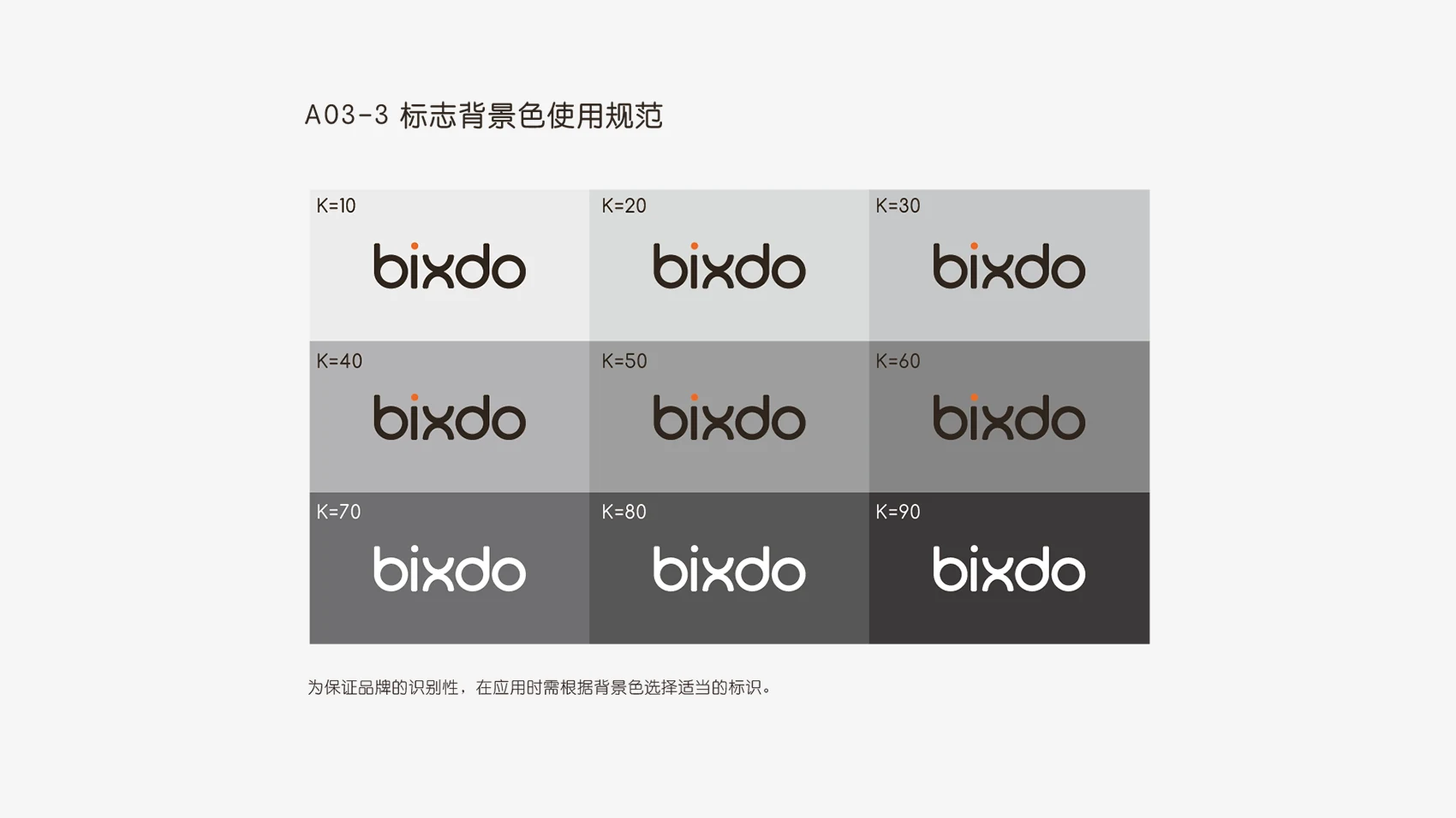 Bixdo Visual Identity project image 7
